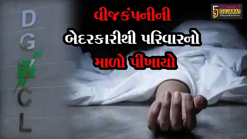 ભરૂચ : અંકલેશ્વરમાં પતિ - પત્ની વૃક્ષની ડાળી કાપતા હતાં, પછી જે થયું તે સાંભળી તમે રડી ઉઠશો