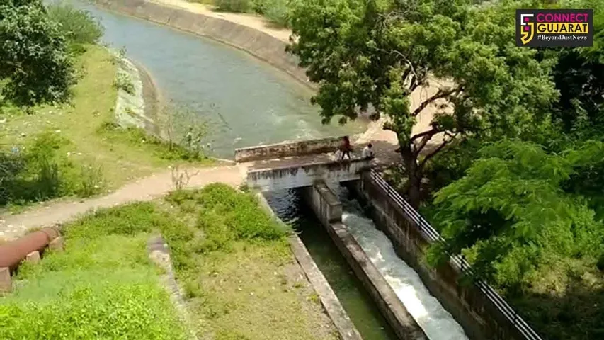ભાવનગર : ખેડૂતોના હિતમાં હિતલક્ષી નિણૅય, શેત્રુંજી ડેમના વધારાના પાણીને વાળી ચેકડેમો-તળાવો ભરવાની હતી માંગ