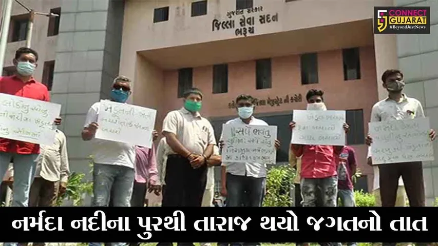 ભરૂચ : ઝઘડીયા તાલુકાના ખેડૂતોએ માંગ્યું વળતર, જુઓ કેમ થયું પાકને નુકશાન