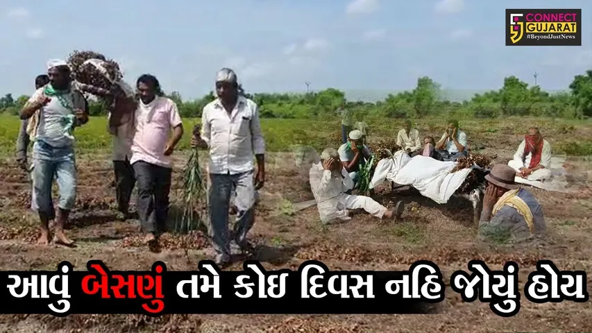 રાજકોટ : જેતપુરમાં ખેતીને નુકશાનનો સર્વે નહિ કરાતાં ખેડુતોમાં રોષ, જુઓ કેવી રીતે કર્યો વિરોધ