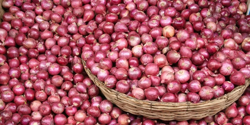 ડુંગળીની વધતી કિંમતોને લઈને સરકારનો નિર્ણય, નિકાસ પર મૂક્યો પ્રતિબંધ