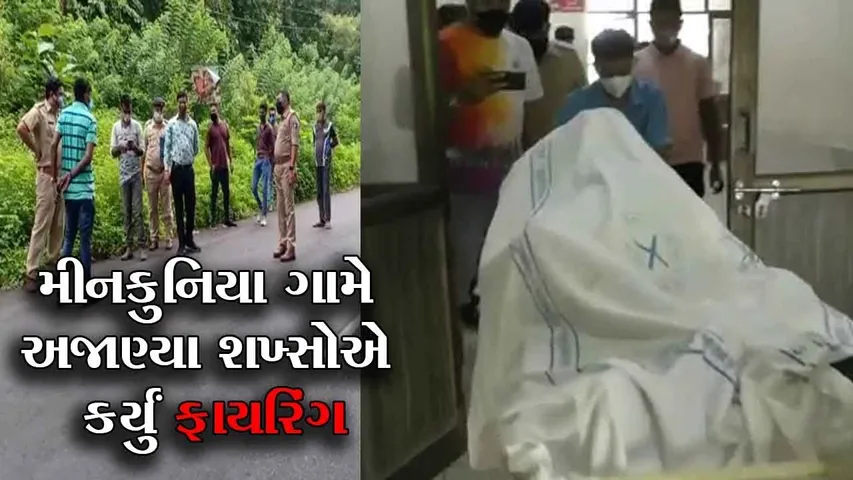નવસારી : મીનકુનિયા ગામે અજાણ્યા શખ્સોએ કર્યું એક ઈસમ ઉપર ફાયરિંગ, પોલીસ દ્વારા તલસ્પર્શી તપાસ શરૂ