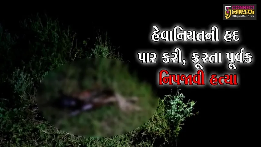 અમદાવાદ : 7 વર્ષની બાળકીને પણ ના બખ્શી, કહેવાતા મામાએ દુષ્કર્મ આચરી બાળકીને ફેંકી દીધી!