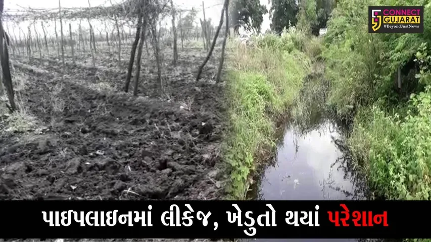 ભરૂચ : હાંસોટના દીગસ નજીક લાઇનમાં ભંગાણ, ખેતરોમાં ફરી વળ્યાં દુષિત પાણી
