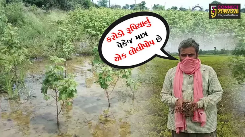 રાજકોટ : કુદરત કોપાયમાન થતા નવી સાંકળી ગામના ખેડૂતોની હાલત કફોડી, સહાય પેકેજ ગણાવ્યું “લોલીપોપ” સમાન