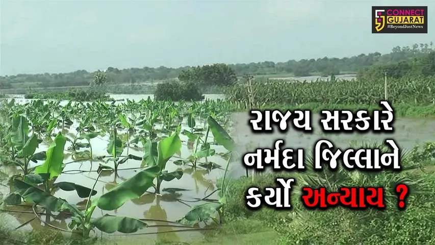 નર્મદા : નાંદોદ, ગરૂડેશ્વર અને દેડીયાપાડાના ખેડુતોમાં છે રોષ, જુઓ શું છે કારણ