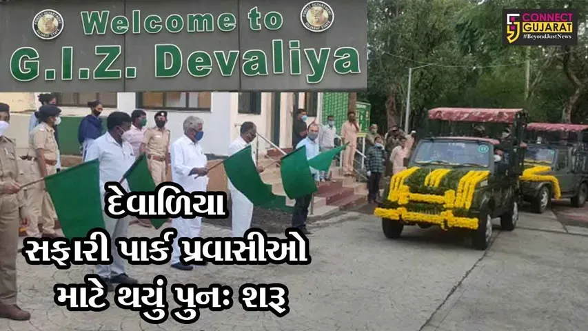 જુનાગઢ : લોકડાઉનના સમયથી બંધ રહેલું દેવળિયા સફારી પાર્ક પ્રવાસીઓ માટે પુનઃ ખૂલ્યું