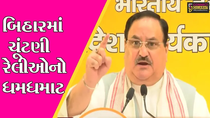 બિહારમાં ચૂંટણી રેલીઓનો દિવસ, નીતીશ, નડ્ડાથી લઈને ફડણવીસ સુધીના મેદાનમાં