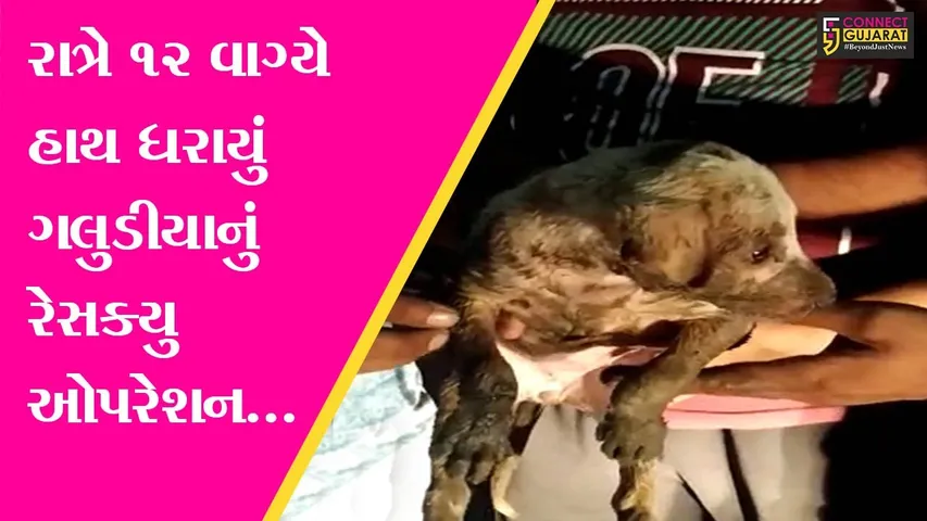 ભરૂચ : કસક સર્કલ પાસે ગલુડીયું 20 ફુટ ઉંડી ગટરમાં ખાબકયું, જુઓ પછી શું થયું