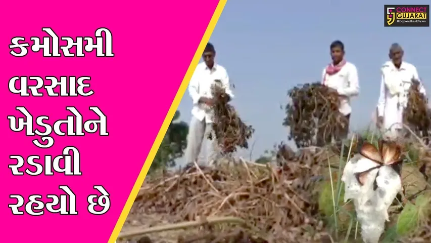 કચ્છ :  ચપરેડી ગામે કમોસમી વરસાદથી ખેતરોમાં ભરાયા પાણી, પાક નષ્ટ થવાની ભિતિ