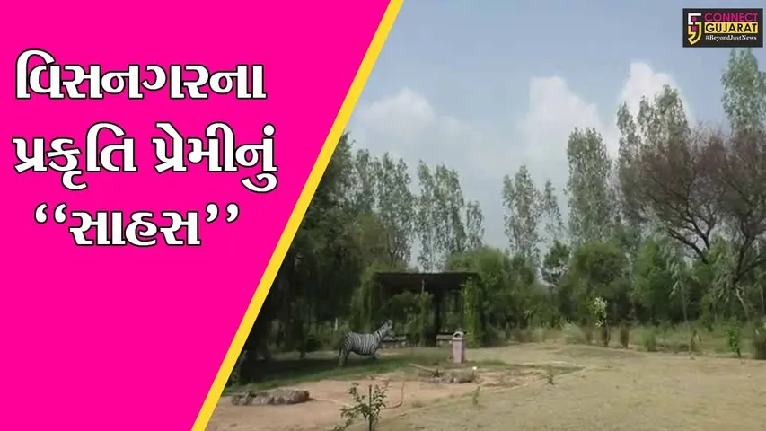 મહેસાણા : વિસનગરના પ્રકૃતિ પ્રેમી બન્યા “ગ્રીન એમ્બેસેડર”, 200 એકર જમીનમાં કર્યું માનવ સર્જિત જંગલનું નિર્માણ