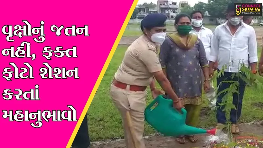 છોટાઉદેપુર : નસવાડી વન વિભાગે કરી હતી વન મહોત્સવની ઉજવણી, જુઓ આજે સ્થળ પર શું જોવા મળે છે..!