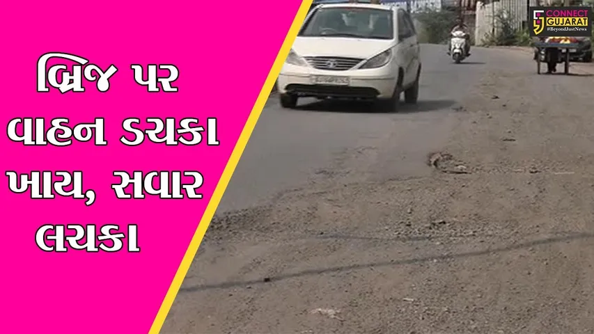 ભરૂચ : ચાર વર્ષ પહેલાં નિર્મિત ભૃગુઋષિ બ્રિજ પર ગાબડાં, માર્ગોએ કહાવતને સાચી ઠેરવી
