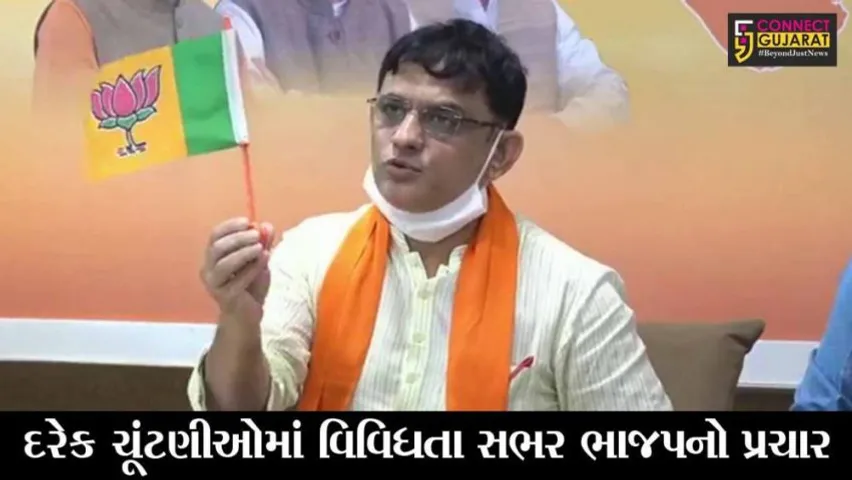 અમદાવાદ : વિધાનસભાની પેટાચૂંટણી માટે ભાજપ દ્વારા 36 જેટલા “પ્રચાર સાહિત્ય” તૈયાર કરાયા