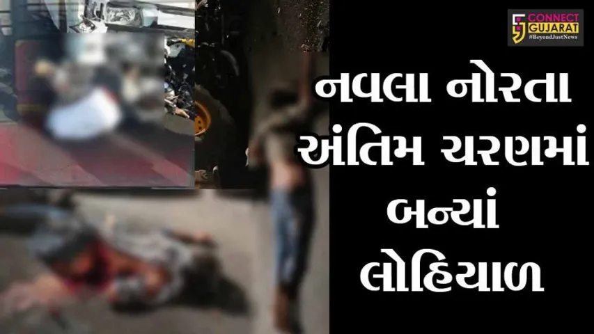 રાજયમાં માર્ગ અકસ્માતના 3 બનાવમાં પાંચ વ્યકતિઓના જીવનદીપ બુઝાયાં