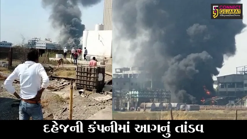ભરૂચ : દહેજની હિમાની ઓર્ગેનિક કંપનીમાં આગ, એક કામદારનું મોત