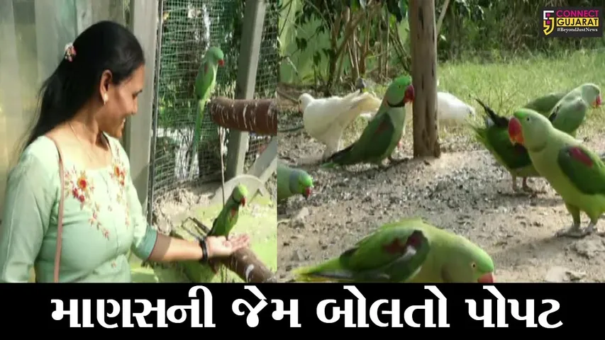 નર્મદા : જુઓ કયાં ગામના જંગલોમાં જોવા મળે છે “બોલતા પોપટ”