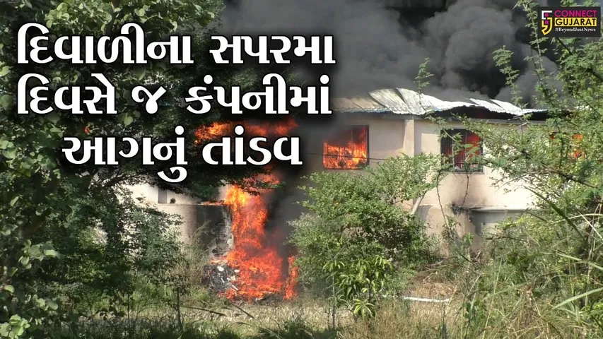 વલસાડ : ધમડાચીના પીરૂ ફળિયામાં પ્લાસ્ટિકના દાણા બનાવતી કંપનીમાં ભીષણ આગ