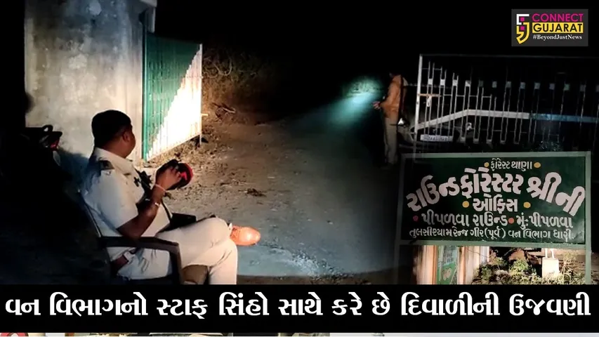 અમરેલી : સિંહોના રક્ષણ માટે વન વિભાગની ટીમોનું રાઉન્ડ ધ કલોક પેટ્રોલીંગ