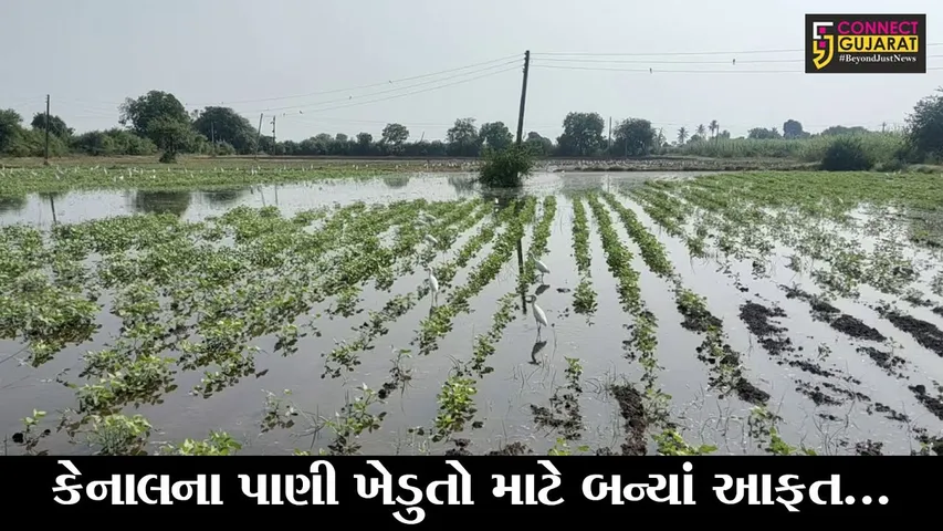 ભરૂચ : થામ ગામ નજીક કેનાલ થઇ ઓવરફલો, ખેડુતોના લલાટે ચિંતાની લકીરો