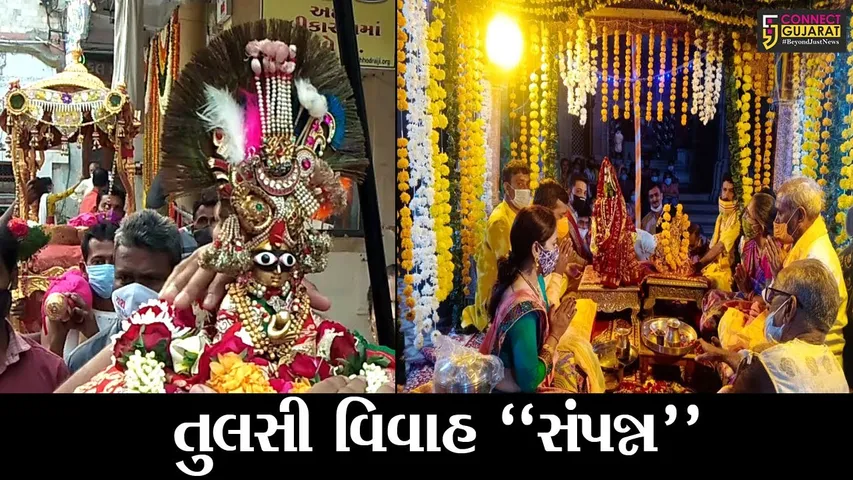દેવઉઠીઅગીયારસના શુભ દિને રાજ્યભરમાં કરાઇ તુલસી વિવાહની ભક્તિભાવપૂર્ણ ઉજવણી