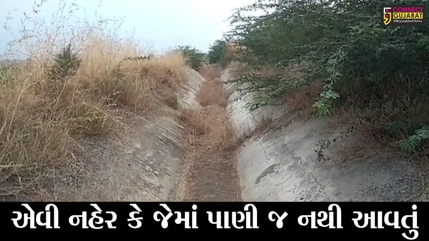 ભરૂચ : વાગરાના પાલડી ગામના ખેડુતોનો સિંચાઇ વિભાગ સામે રોષ, જુઓ કેમ ?