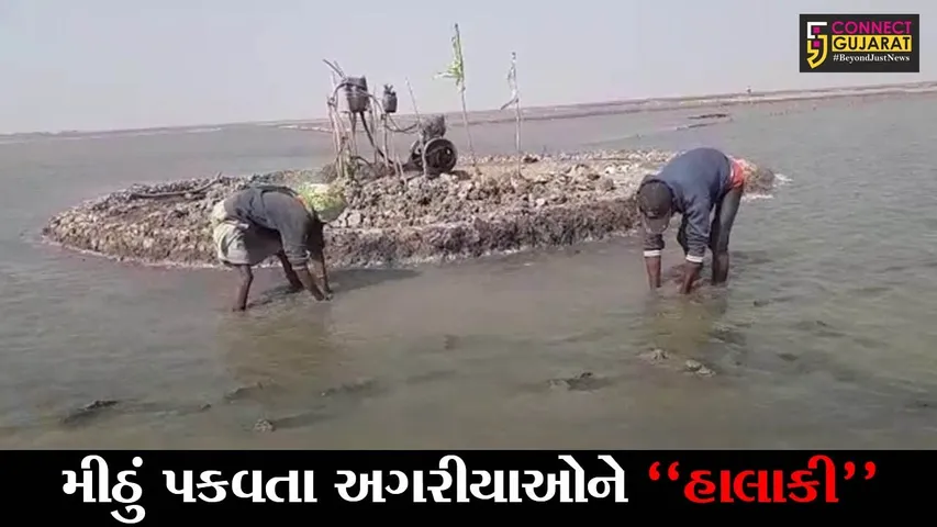 સુરેન્દ્રનગર : ખારાઘોડા રણમાં ફરી વળ્યું નર્મદા કેનાલનું પાણી, અગરીયાઓને મોટાપાયે નુકશાની વેઠવાનો વારો