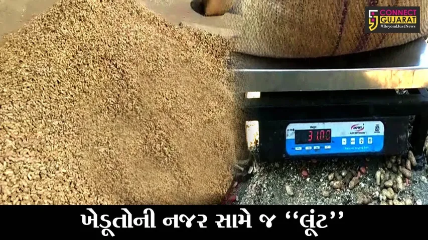 રાજકોટ : જેતપુરમાં ખેડૂતોની નજર સામે જ થતી ઉઘાડી લૂંટ, જુઓ સરકાર વિરુદ્ધ કેવો કરાયો આક્ષેપ..!