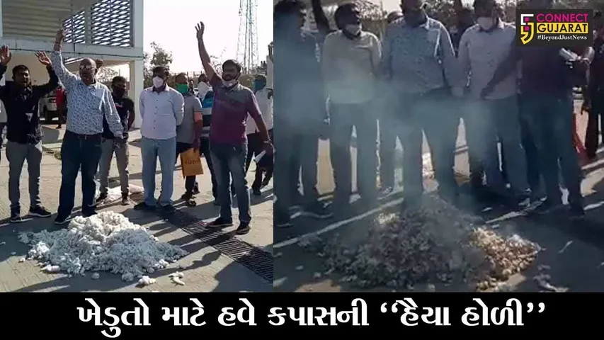 વડોદરા : કરજણ એપીએમસીમાં ખેડુતોએ કપાસ સળગાવ્યો, જુઓ શું છે કારણ