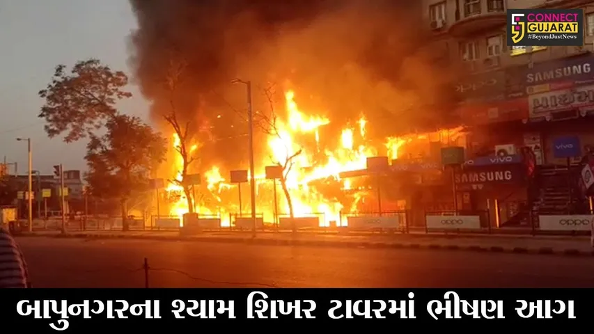 અમદાવાદ : બાપુનગરના શ્યામ શિખર ટાવરમાં ભીષણ આગ, 13 ફાયર ગાડીઓએ આગ કાબૂમાં લીધી
