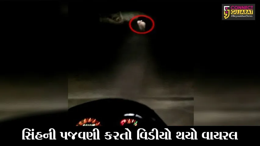 ગીર સોમનાથ : સિંહની પાછળ હોર્ન વગાડી બાઇક દોડાવી, સિંહોની પજવણીથી લોકોમાં રોષ