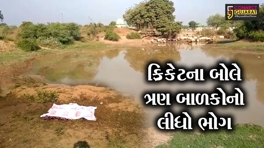 કરજણ :  કોલીયાદ ગામના ત્રણ બાળકો અચાનક થયા ગુમ, જુઓ પછી શું થયું