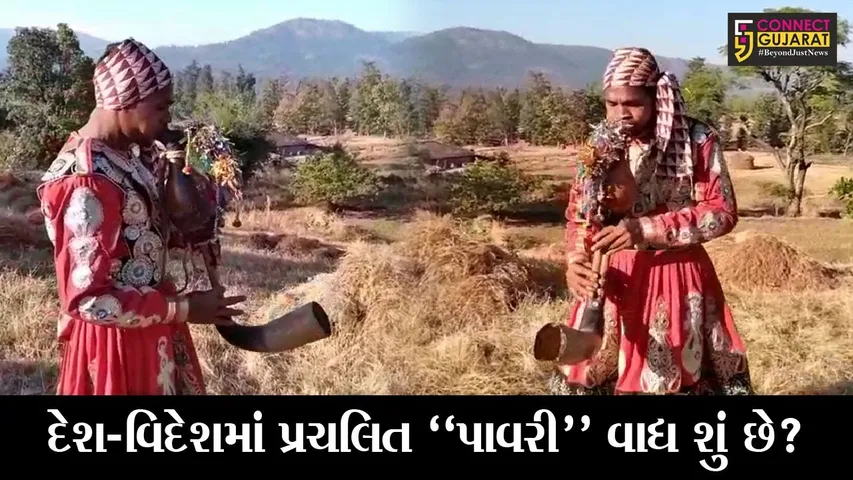 ડાંગ : આદિવાસીઓમાં લોકપ્રિય સંગીત વાજિંત્ર્ય “પાવરી” ની જાણો વિશેષતા