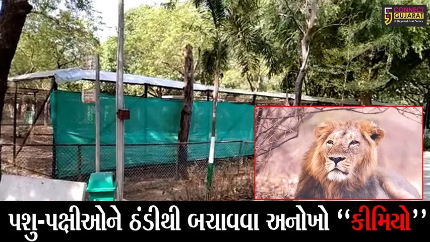 જુનાગઢ : જુઓ, ઠંડીના ચમકારાથી પશુ-પક્ષીઓને બચાવવા સક્કરબાગ ઝૂના પ્રાણીઓ માટેની અનોખી વ્યવસ્થા..!
