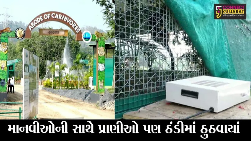 નર્મદા : જિલ્લામાં પડી રહી છે હાંજા ગગડાવતી ઠંડી, જુઓ જંગલ સફારીમાં પ્રાણીઓ માટે કેવી છે વ્યવસ્થા