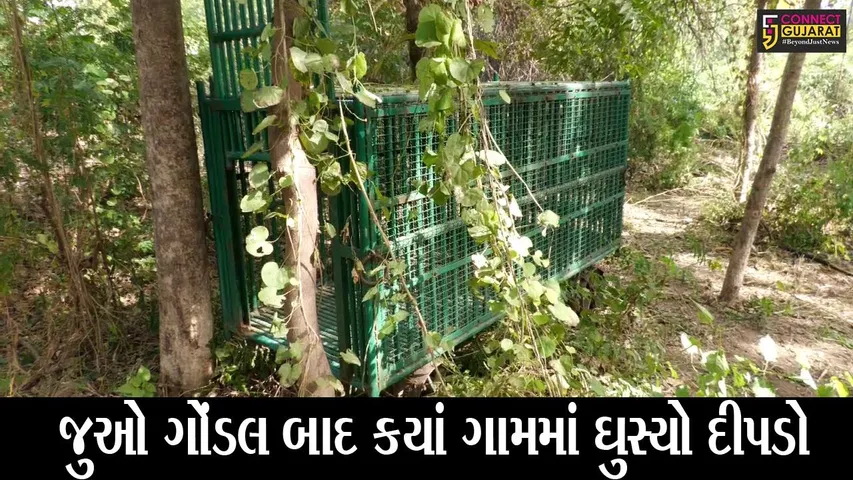 અરવલ્લી : બાયડના ગાબઠ ગામમાં દિપડો ઘુસી જતાં અફરાતફરી, 40 કલાક બાદ પણ દીપડો હાથ લાગ્યો નથી