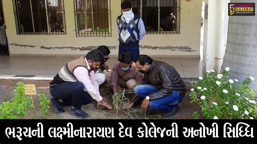 ભરૂચ : લક્ષ્મીનારાયણ દેવ કોલેજ ઓફ ફાર્મસી ખાતે યોજાયો વૃક્ષારોપણનો કાર્યક્રમ