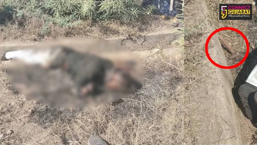 દાહોદ : નાણાંની લેતીદેતીમાં યુવાનની ત્રણ કિશોરોએ ભેગા મળી નિર્મમ હત્યા કરી નાખી