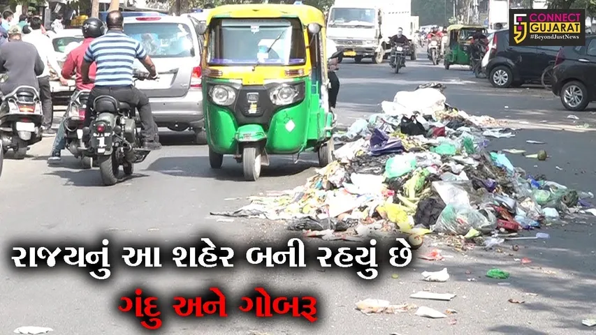 અમદાવાદ : વિવિધ વિસ્તારોમાં જામી રહયાં છે ગંદકીના ઢગલા, જુઓ આમ થવાનું કારણ શું છે ?