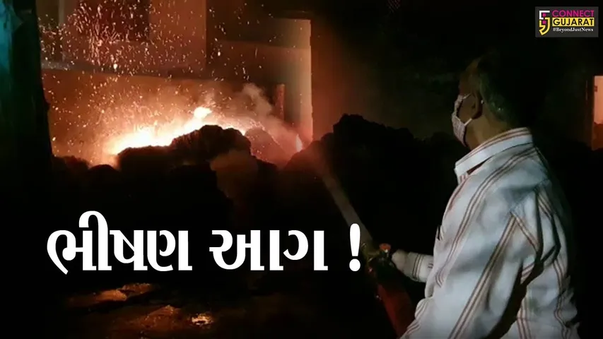 નડિયાદ: બારદાનના ગોડાઉનમાં ભીષણ આગ; અફરાતફરીનો માહોલ, જુઓ વિડીયો