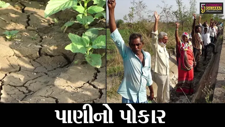 છોટાઉદેપુર: ચામેઠા પાસે નર્મદા માઈનોર કેનાલમાં સિંચાઇનું પાણી ન મળતા ખેડૂતોમાં નિરાશા