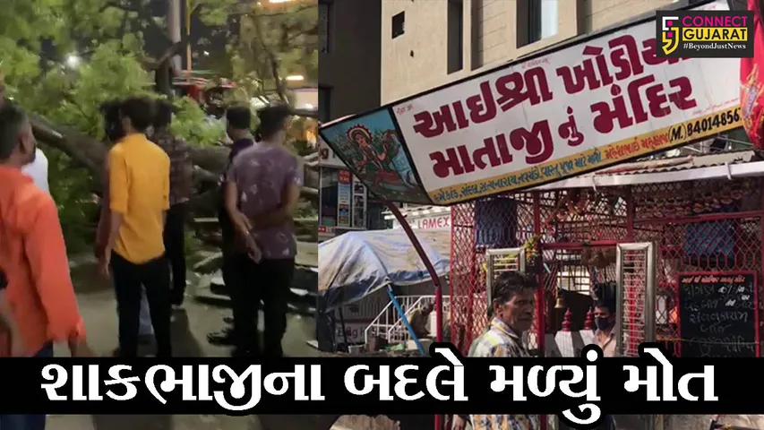 અમદાવાદ : મણીનગરમાં BRTSના સ્ટેન્ડ પાસે વૃક્ષ ધરાશાયી, કાંકરીયાની વૃધ્ધાનું મોત