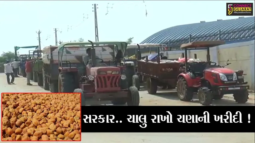 સાબરકાંઠા: ટેકાના ભાવે ચણાની ખરીદીનો આજે અંતિમ દિવસ, સમય મર્યાદા વધારવા માંગ, જુઓ શું છે કારણ