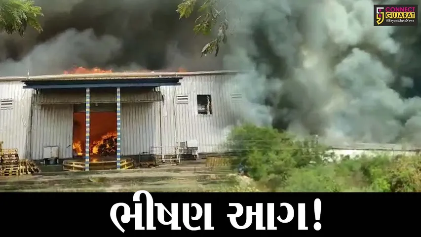 ભરૂચ: ઝઘડિયાની વાયલાઈન વર્ક્સ કંપનીમાં ભીષણ આગ, ધુમાડાના ગોટેગોટાથી ફફડાટ