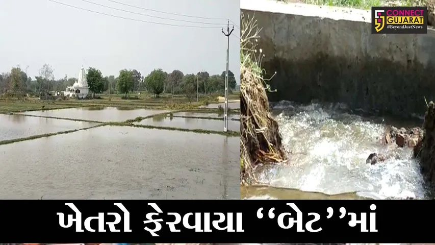 મહીસાગર: લુણાવાડામાં નપાણીયાની સબ માઇનોર કેનાલ ઓવરફ્લો થતાં ખેતરોમાં પાણી ફરી વળ્યા