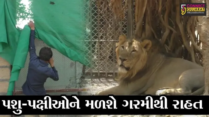 જુનાગઢ: કાળઝાળ ગરમીની થઈ ગઈ શરૂઆત, સક્કરબાગ ઝૂમાં પશુ-પક્ષીઓ માટે કરાઇ અલાયદી વ્યવસ્થા