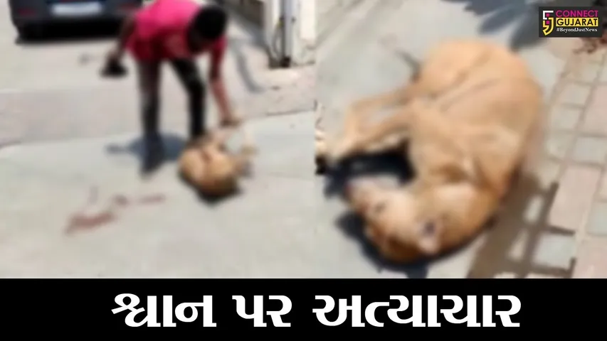 ભરૂચ : રંગ ટાઉનશીપ ફેસ-2માં શ્વાનનો આતંક, ક્રુરતાપુર્વક શ્વાનને પકડવામાં આવતાં વિવાદ