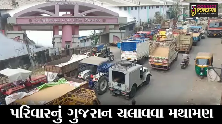 સાબરકાંઠા : હિમંતનગર માર્કેટયાર્ડ ખાતે ખેડુતોની કતાર, ટેકાના ભાવે ઘઉં વેચવા ધસારો
