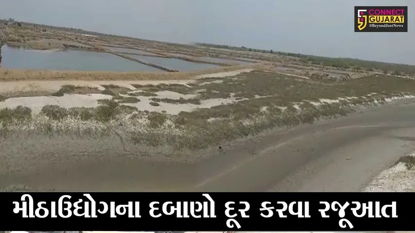 ભરૂચ : જંબુસર ઇસ્લામપુર ખાડીના મીઠા ઉદ્યોગના દબાણો દૂર કરવા ધારાસભ્યને રજૂઆત