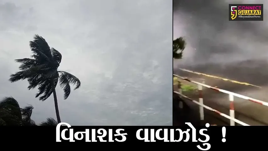 અમદાવાદ: તાઉતે વાવાઝોડાના કારણે રાજયમાં 45 લોકોના મોત, જુઓ તારાજીના દ્રશ્યો